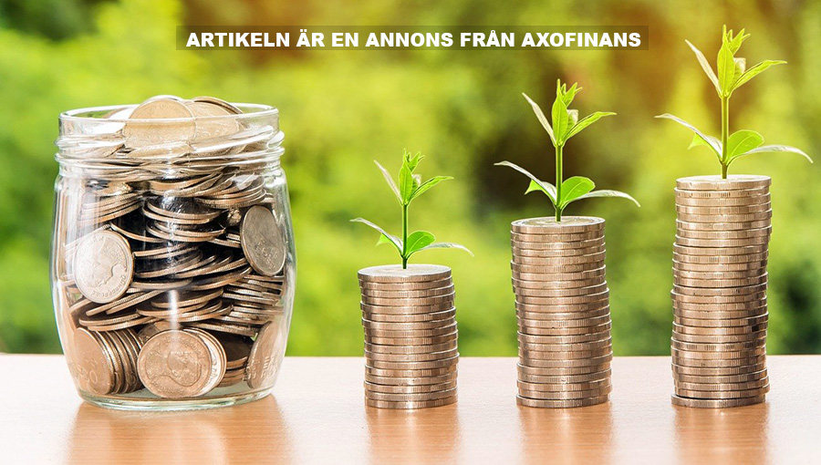 Axofinans kan privatekonomi. Foto: Nattanan Kanchanaprat. Licens: Pixabay.com