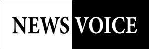 NewsVoice logo
